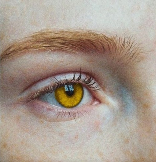 RON WEASLEY AS A VAMPIRE WITH A SEER'S GIFT