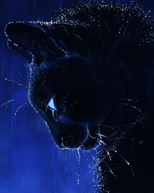 foxtrtter:  tamberella: My starry creatures series thus far. I have really enjoyed developing this and am excited to continue to.  @voidsarcade   Oooo~! :o