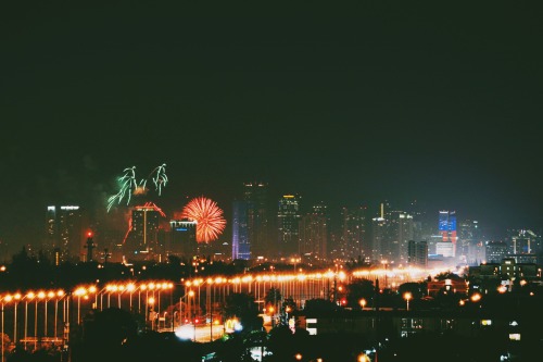 otariidaes:  4th of july | miami, florida 