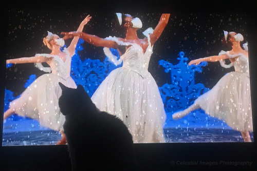 Watching The Nutcracker with May.  She started paying attention when the Mouse King appeared.