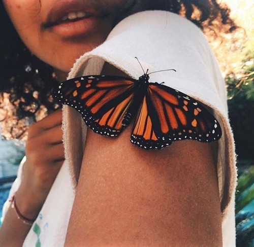 thatgirlkaykayy:The beauty of nature is free