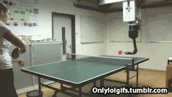 nomedarisa:  