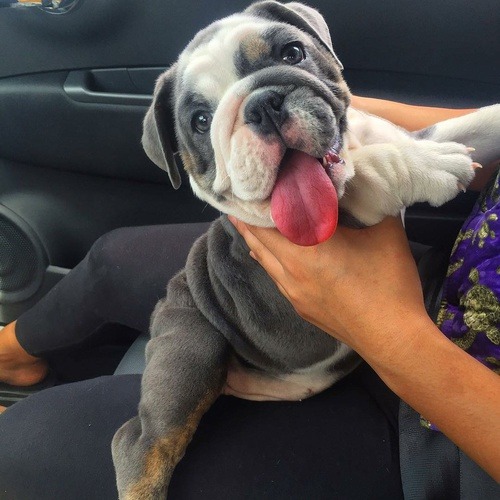 itslatingirl:    ♡  more here  ♡   