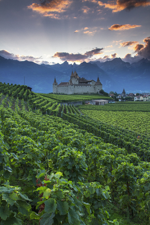 allthingseurope:Chateau d'Aigle, Switzerland (by Patrick Bellon)