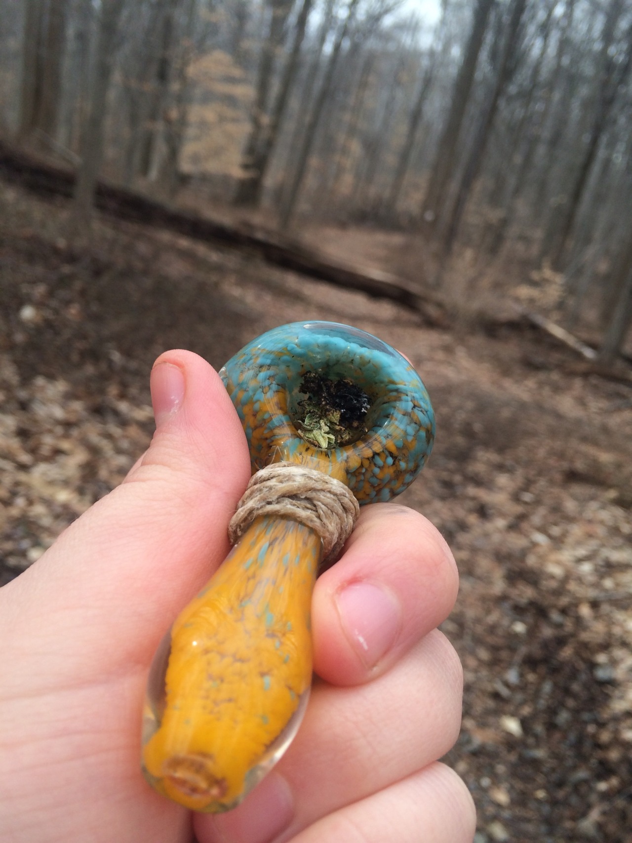 weedwanderlust:  Amongst the trees🌲