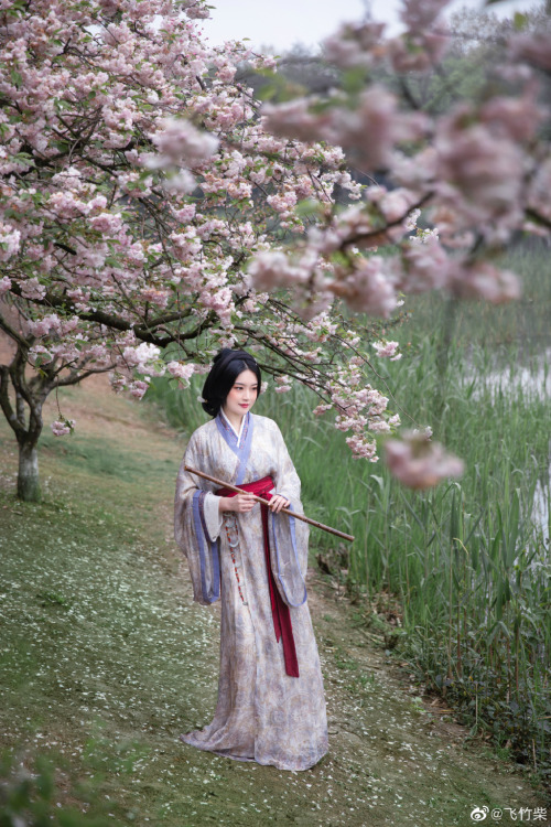 chinese hanfu in tang dynasty style by 竹里馆汉服