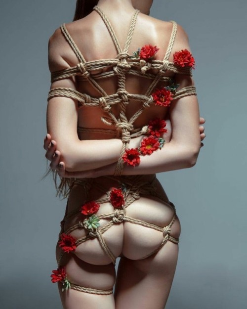 southernsir: Shibari Saturday