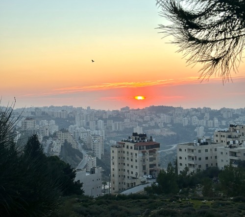 Eternal Love For Her (palestine)