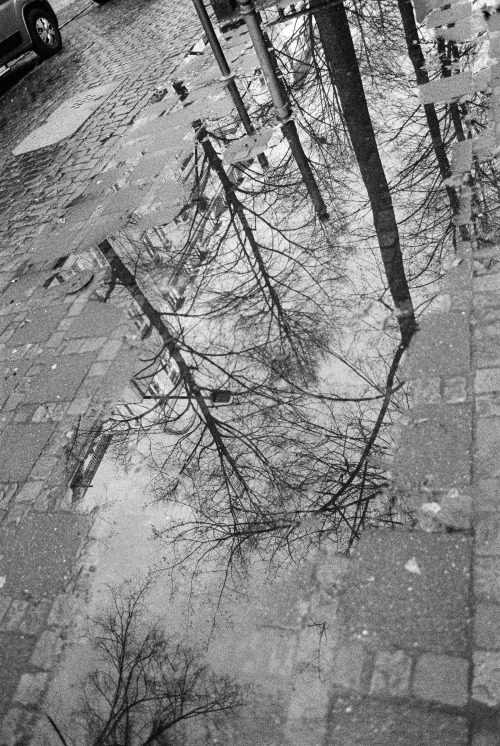 blumenthalstraße // köln agnesviertelwinter raincamera: canon a-1 with canon fd 28mmfilm: ilford del