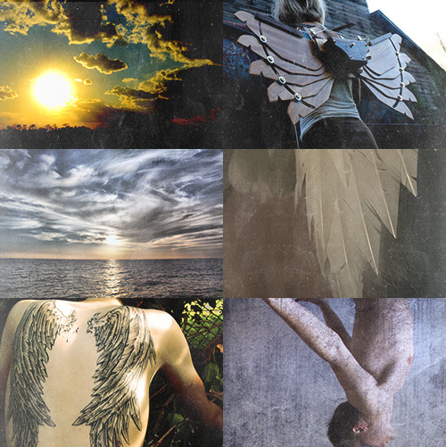 Mythology | Icarus …he saw nothing but the birdlike feathers afloat on the water, and he knew