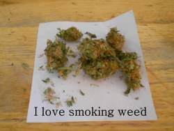 sensationelis:  I Love Smoking Weed