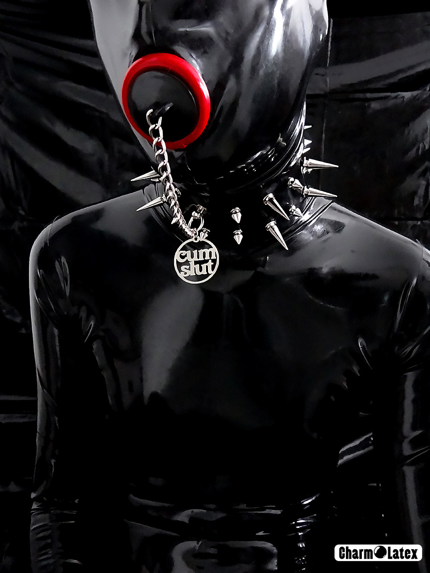 charmolatex:   Sink Hoods Prototype and CharmOLatex collar   