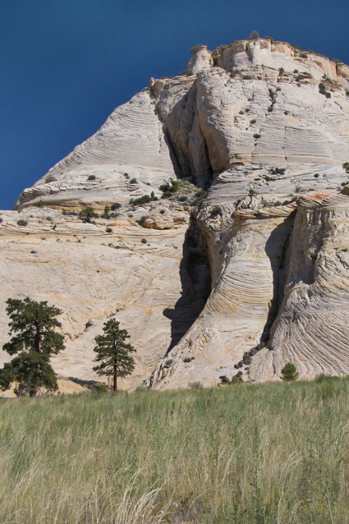 Boulder, Utah along Highway 12.