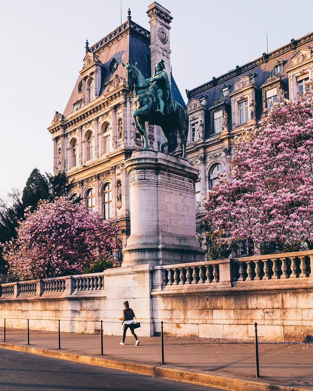 everything-thing:  Paris, France by wonguy974  