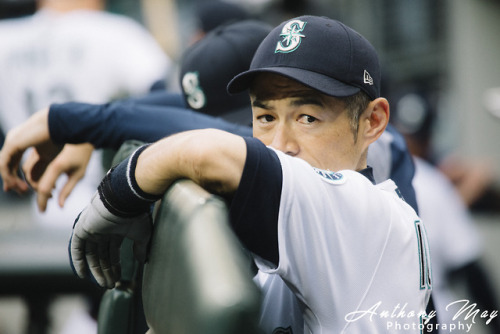 Ichiro SuzukiSafeco FieldSeattle, Washington