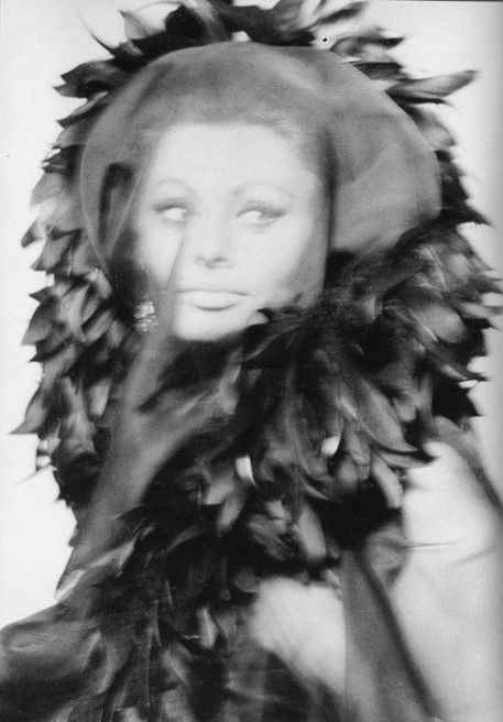 fedelta-stuff:Sophia Loren by Richard Avedon