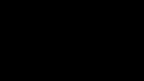 kaelsinclair:   DOES x Well Dressed Vandals  .Gif set of digitaldoes in Sydney supported by welldressedvandals. Title above links to the video. Any more .Gif requests?