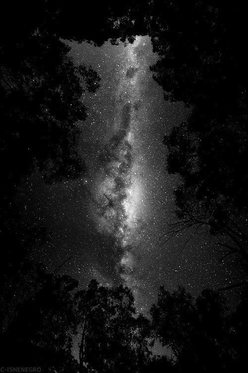 putaque-eschico-elmundo.tumblr.com/post/84455637394/