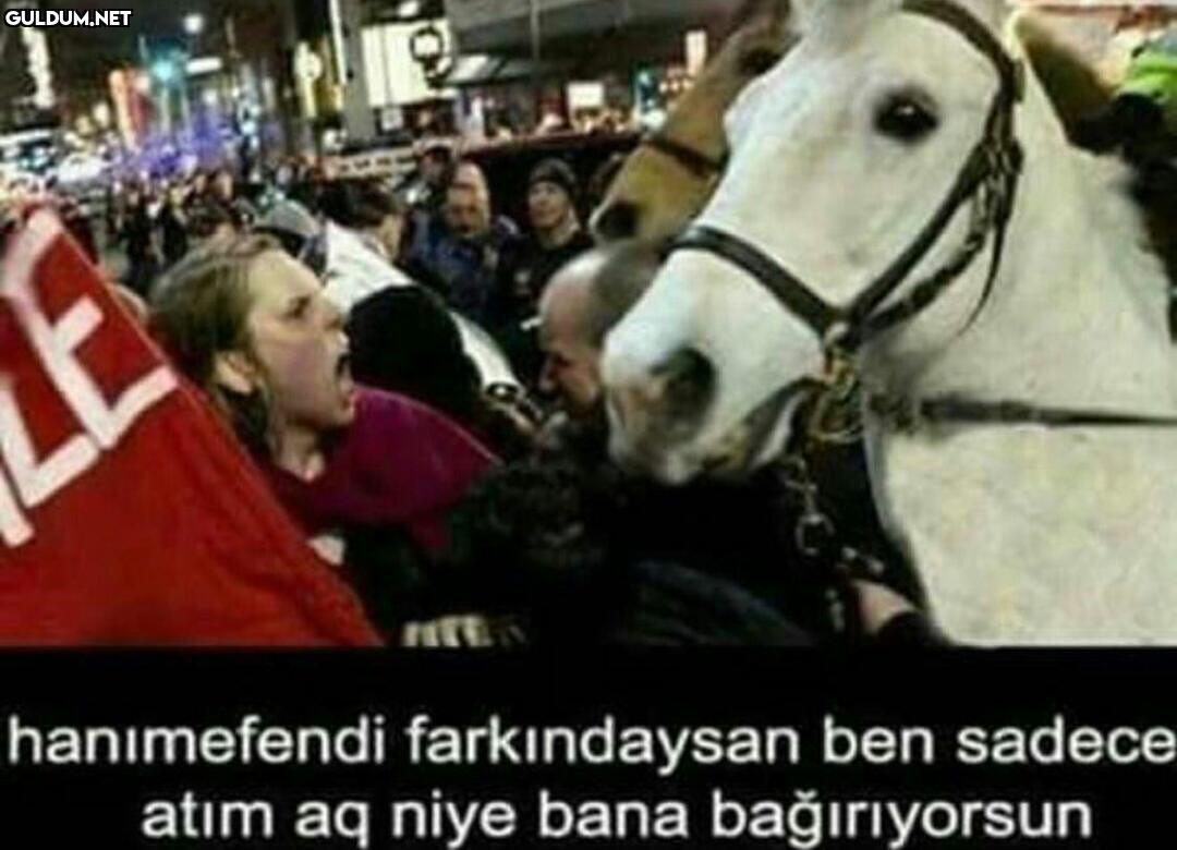 Buna niye her seferinde...