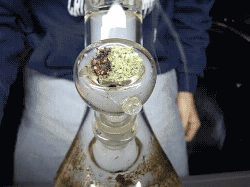 preslavv:  Bongs &lt;3 &lt;3 &lt;3 &lt;3