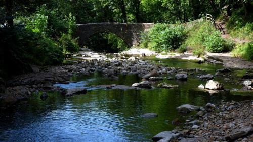 Bridging the Stream, North Yorkshire, England.