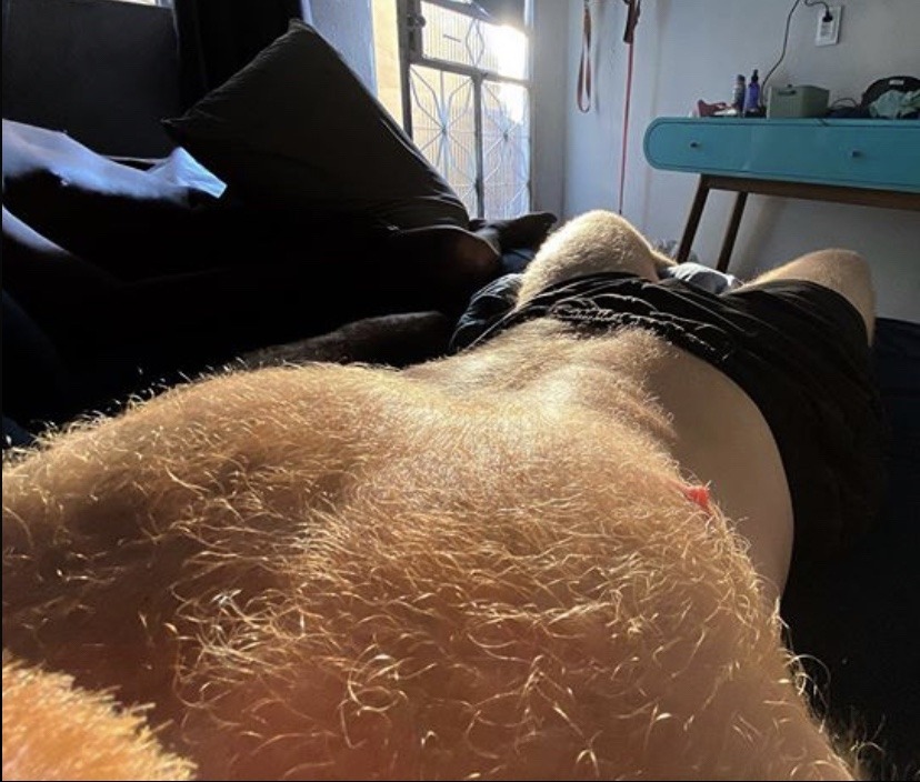 thefurryforest: