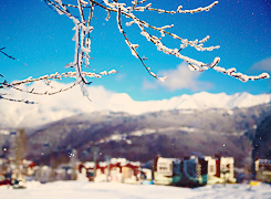 olympicsdaily:  Sochi is ready. Are you? 