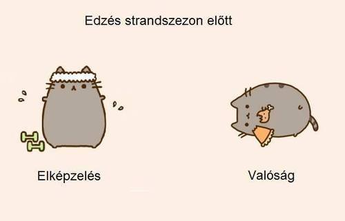 Csönded vagyok