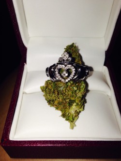 girlsthatloveweed:  If you wanna marry a