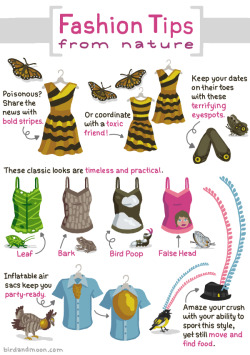 birdandmoon:Helpful fashion tips! Original