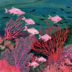 azurea:  Coral reef by Becca Stadtlander.