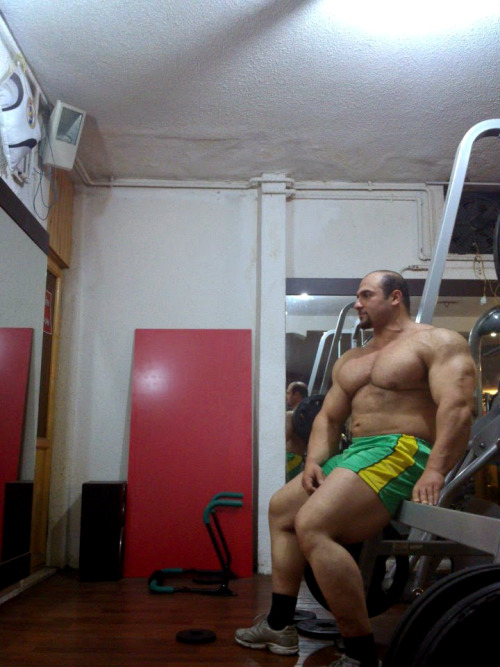 musclegods2:  View All Posts Of Mobin Rostamian 