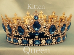 thelittleskylark:  Kitten Queen <3