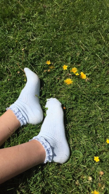 puffymoon:  my socks are the main reason why they laugh at me at school🌱🐶