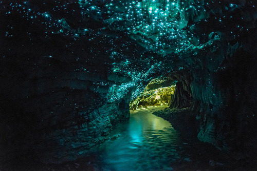 the waitomo caves of new zealand’s northern island, formed two million years ago from the surr
