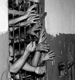 livefreeordiex:  brazilian prison 