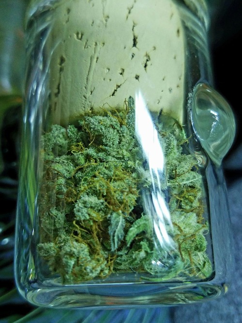 doobiedrewbie: Full jar.