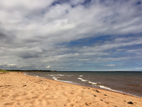 Panmure Island Lighthouse and Beach