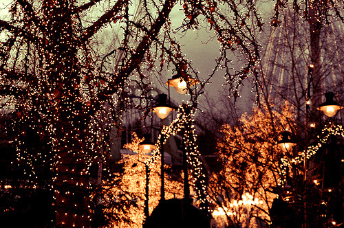 kvknowsherfun:  ral-across-the-universe:  Winter Lights  I need more twinkle lights in my life 