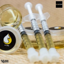 grassrootssf:  We are all stocked up on Gold Drop Clear! ๖ for a full gram and ำ for a &frac12; gram. We love this concentrate! #golddrop #cleanconcentrates #prop215 #cleanmeds #grassrootssf  I wish you were in my area!! I love your clarity. It looks