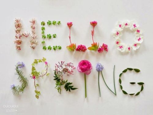 hello spring