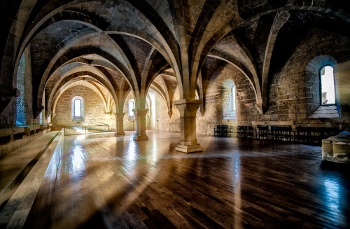 Porn photo illumxnate:  Monasterio de Poblet  Frank