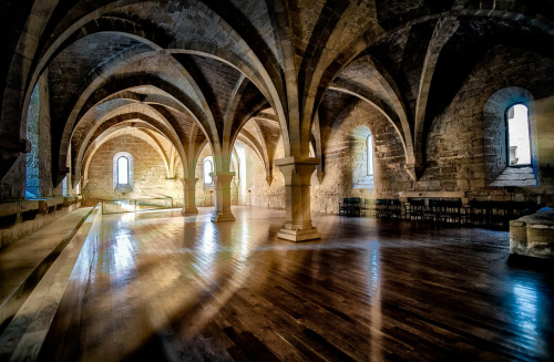 illumxnate:  Monasterio de Poblet  Frank Turner should play this place