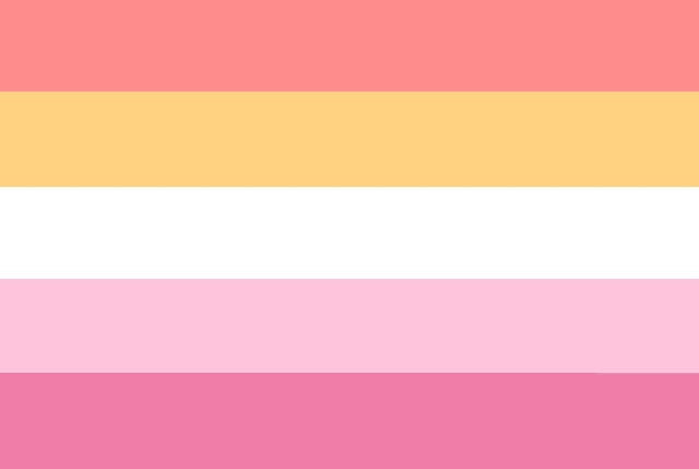 An image of a blank colour picked sunset lesbian pride flag.