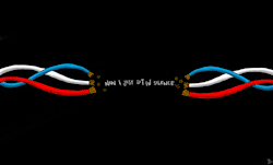 stayalivestaystreet:  somebody stole my car radio and now i just sit in silence + 