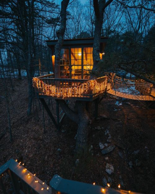 utwo: Treehouse Georgetown Maine©  C. Funk