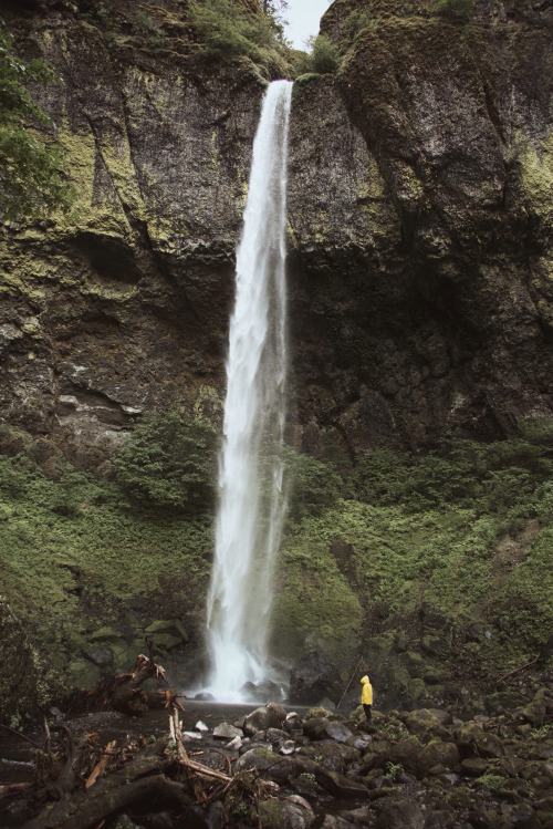 theghostgirls:  Chasing waterfalls