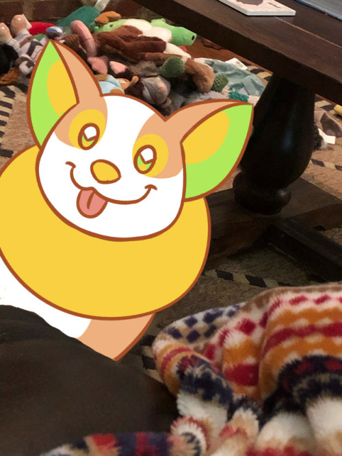 billciipher: So @iizthepotatolord’s dog is basically Yamper