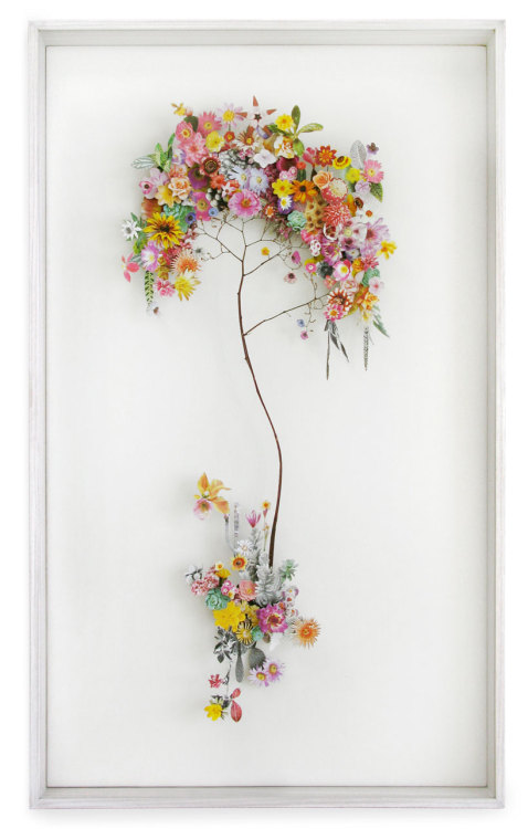 asylum-art:  Delicate Flower Constructions By  Anne Ten Donkelaarnetherlands-based artist anne ten donkelaar constructs her intricate flowerscapes using both real pressed flowers that she collects collaged with paper floral elements. the series of three-d