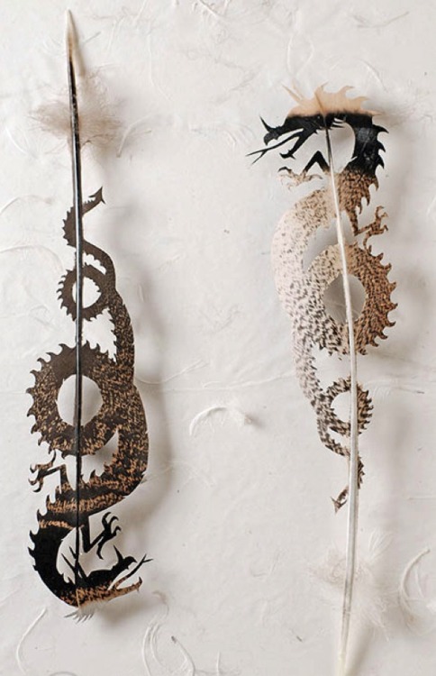 shadesofmauve: ursulavernon: jedavu: Feather Art by Chris Maynard Jesus H. Frogsnoggler. This artist